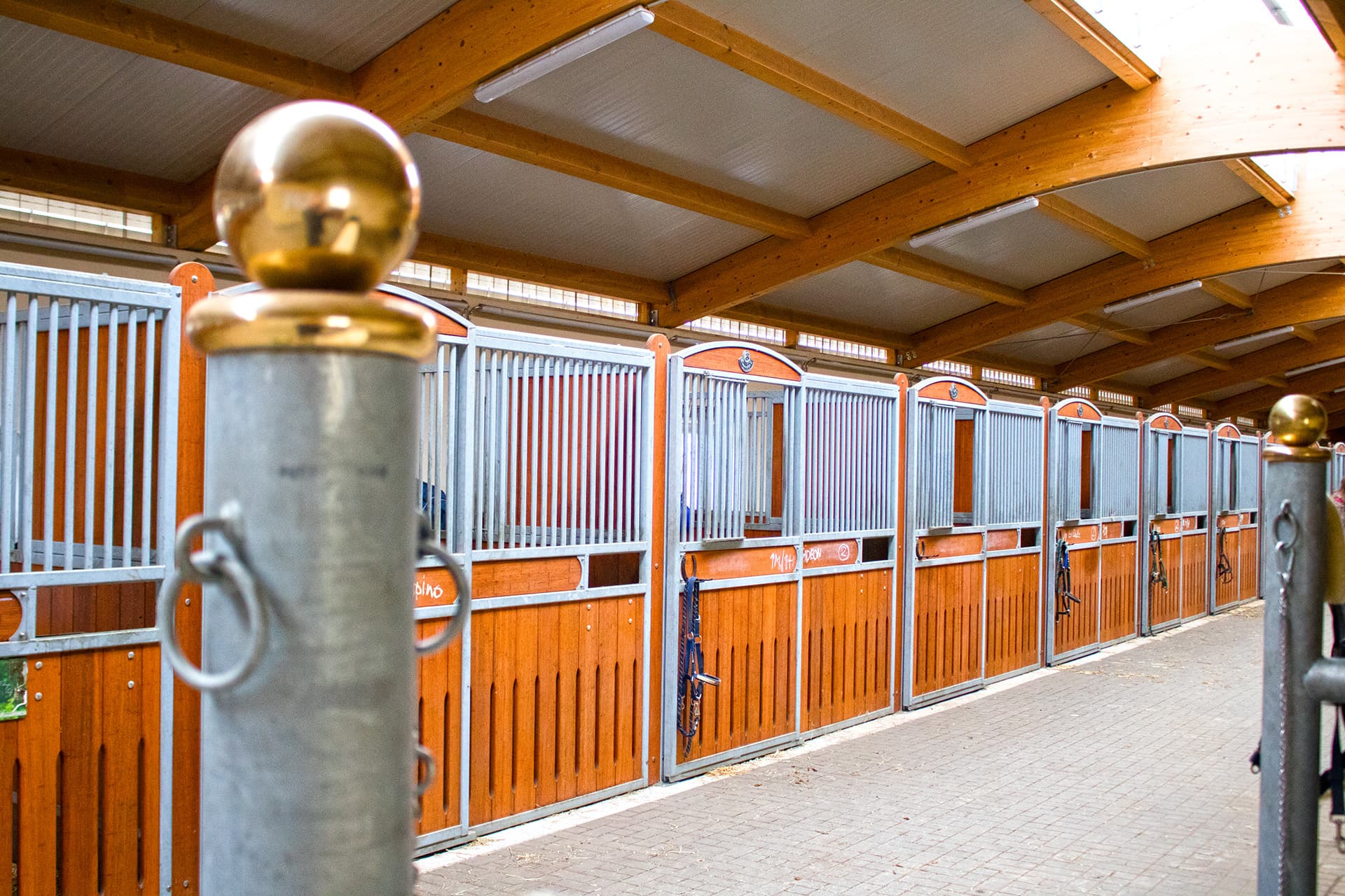 Reitanlage Boxen ansicht